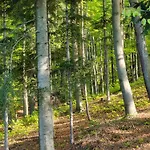 Michalowka - W Gorach Przy Lesie - Energylandia Ferienhaus