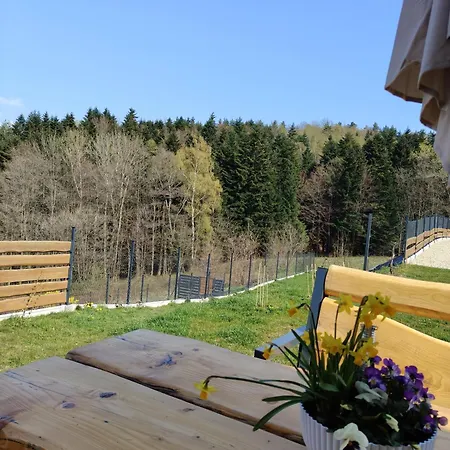 Michalowka - W Gorach Przy Lesie - Energylandia *